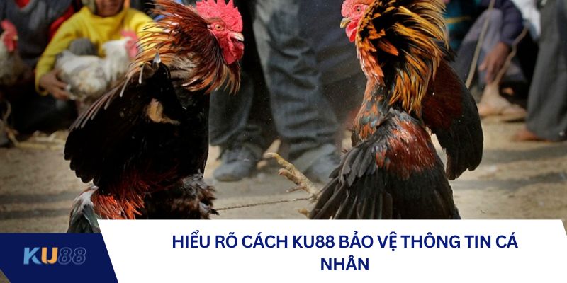 Hiểu rõ cách KU88 bảo vệ thông tin cá nhân